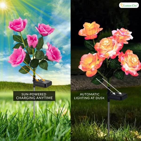 Solar Rose Garden Light Light (Pack of 2) - Image 4