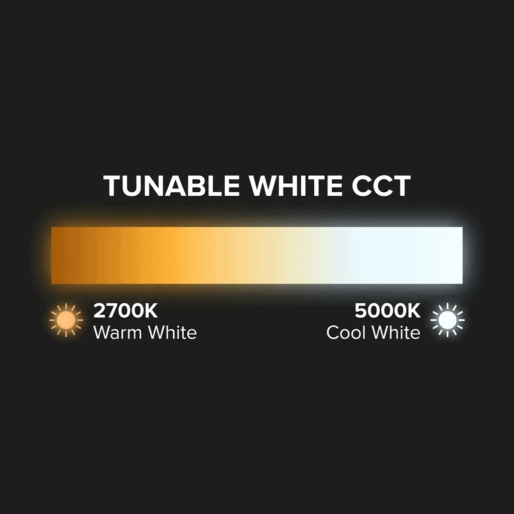 Magnetic Light Tunable Feature