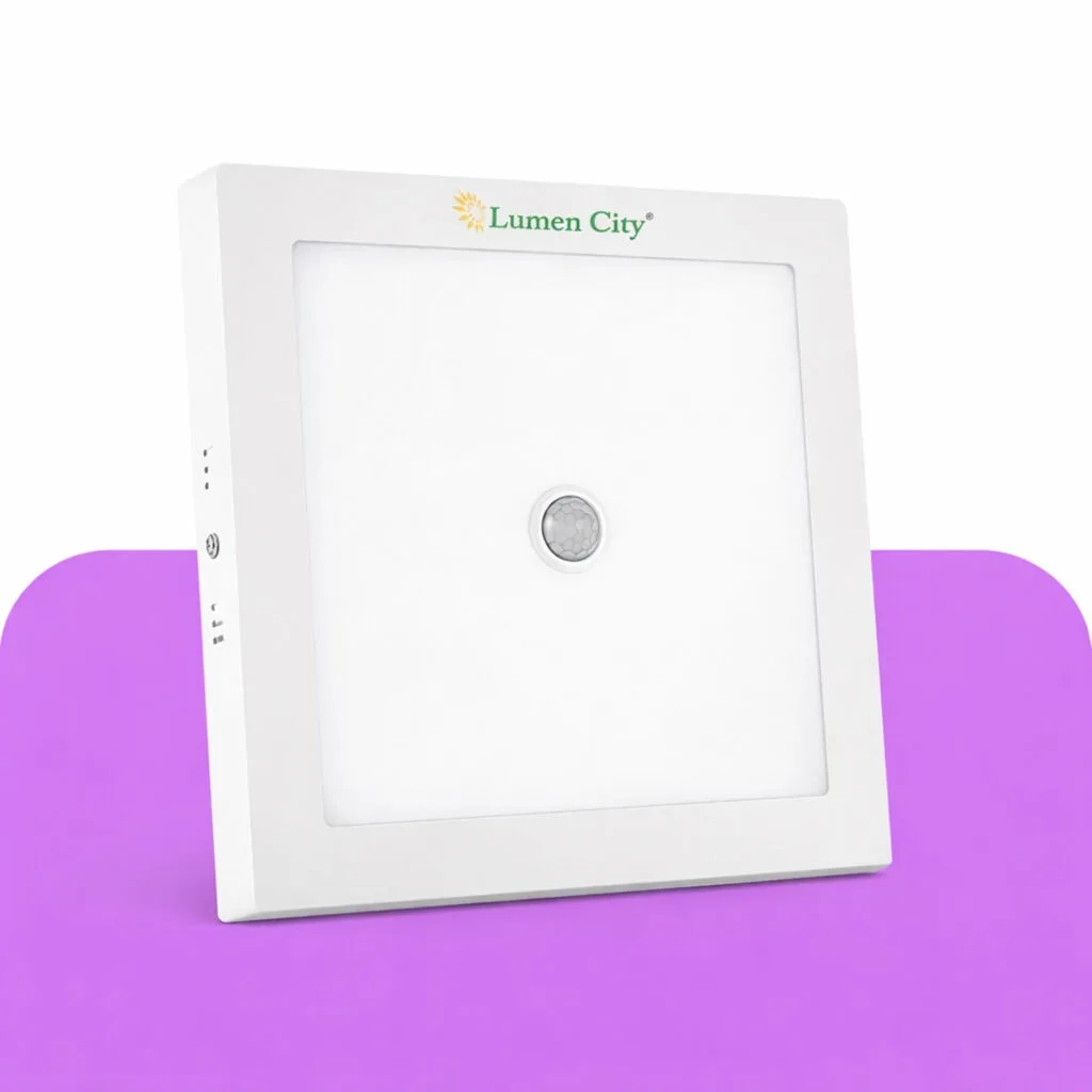 Motion sensor light
