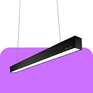 Hanging Lights