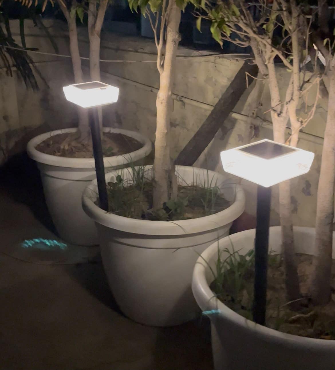 Shashank Bhat garden light installation