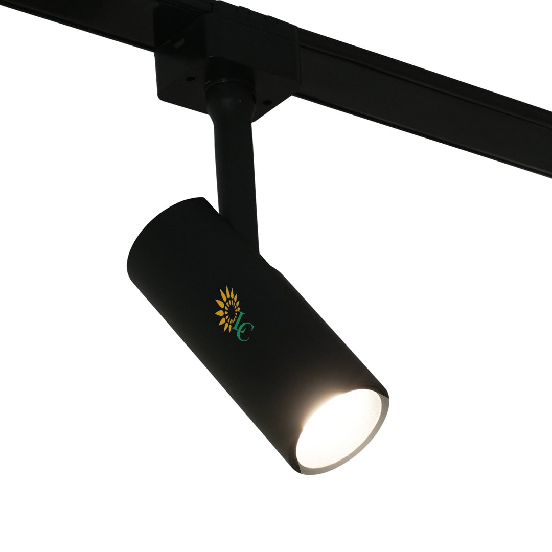 Magnetic track light