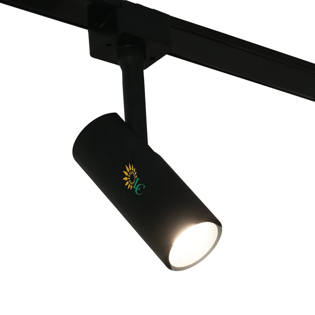 Magnetic track light