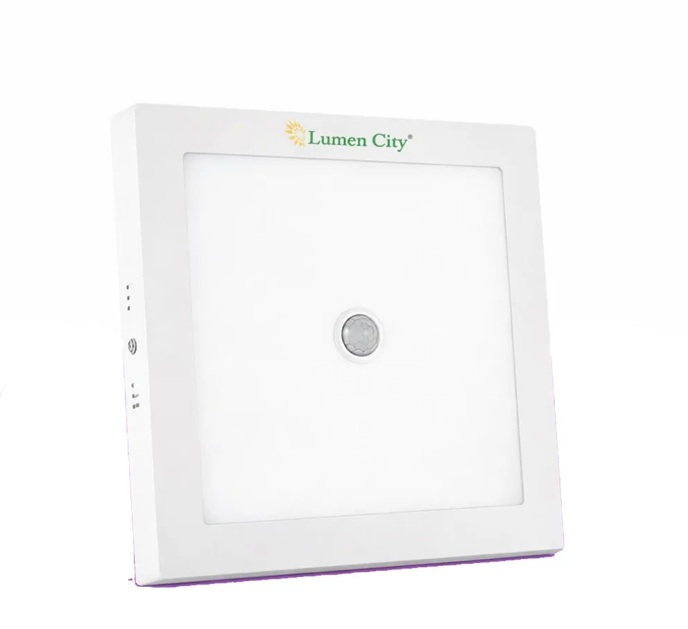 Motion sensor light